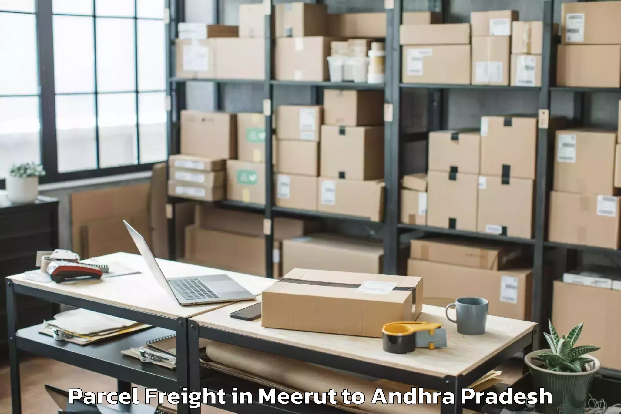 Top Meerut to Peddapuram Parcel Freight Available